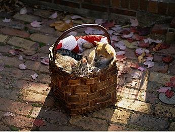 《泰坦工业》Steam抢先体验版发售 特惠价70元