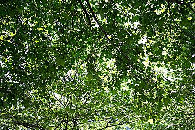 E3：邮政主题合作益智游戏《Keywee》8月31日发售